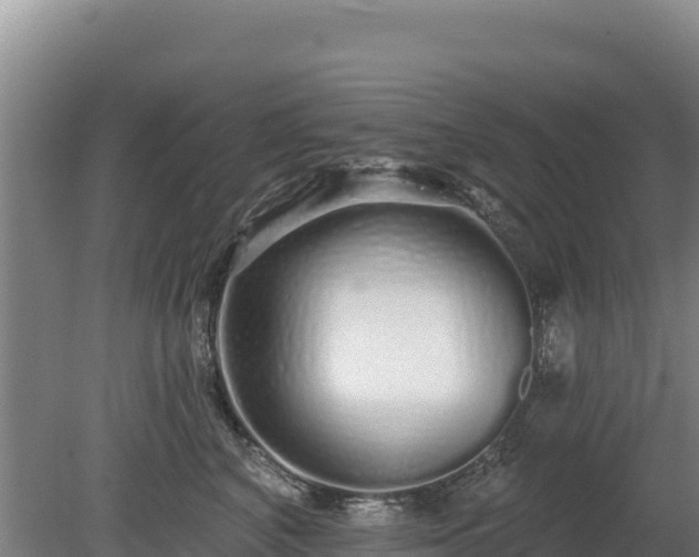 X0000080130616200612151740