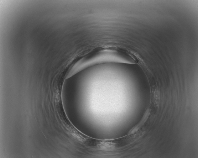 X0000080130617200612151740