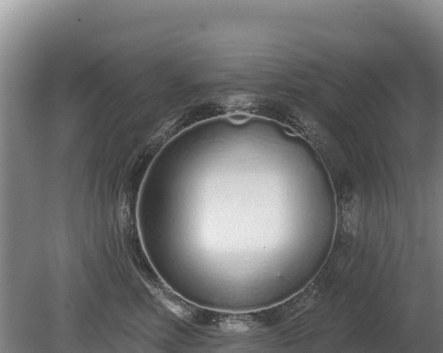 X0000080130618200612151740