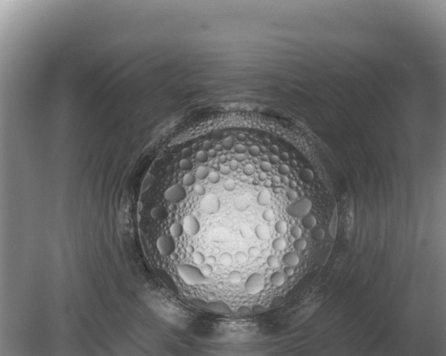 X0000080130619200612151740