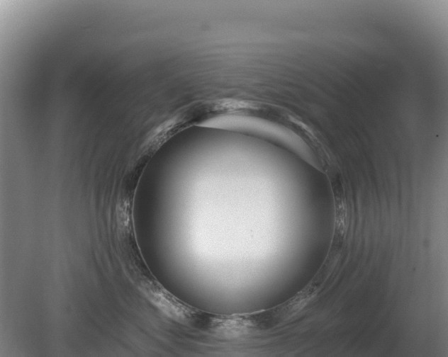 X0000080130621200612151740