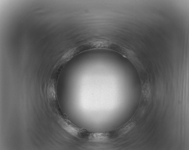 X0000080130622200612151740