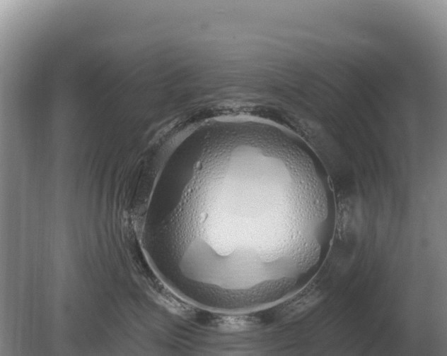 X0000080130623200612151740