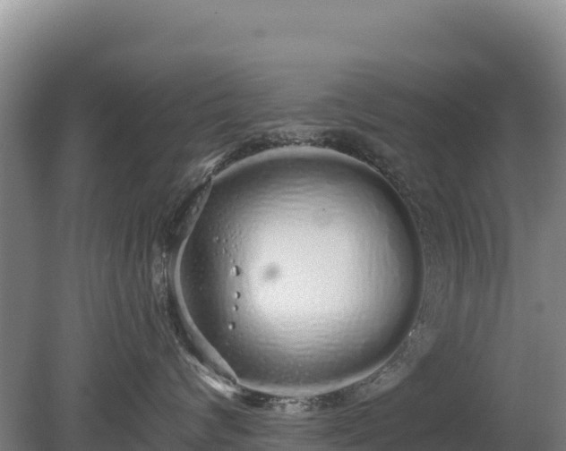 X0000080130624200612151740