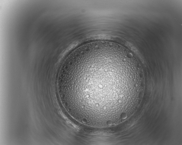 X0000080130625200612151739