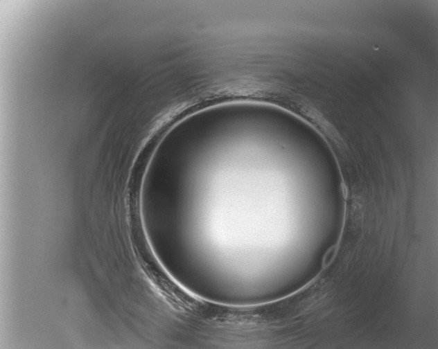 X0000080130626200612151739