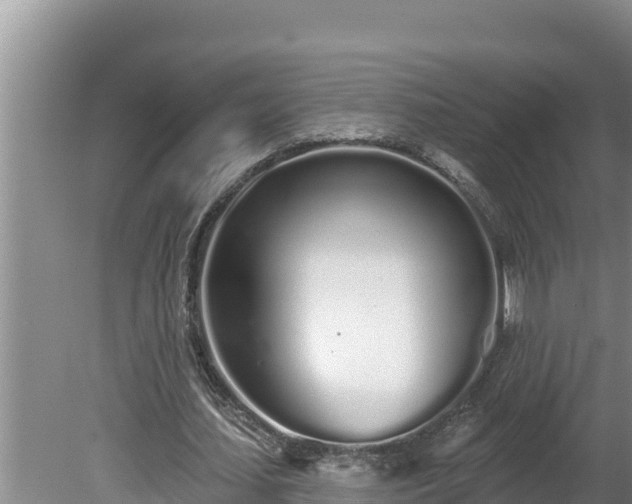 X0000080130627200612151739