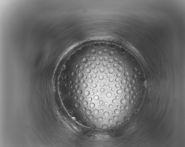 X0000080130628200612151739