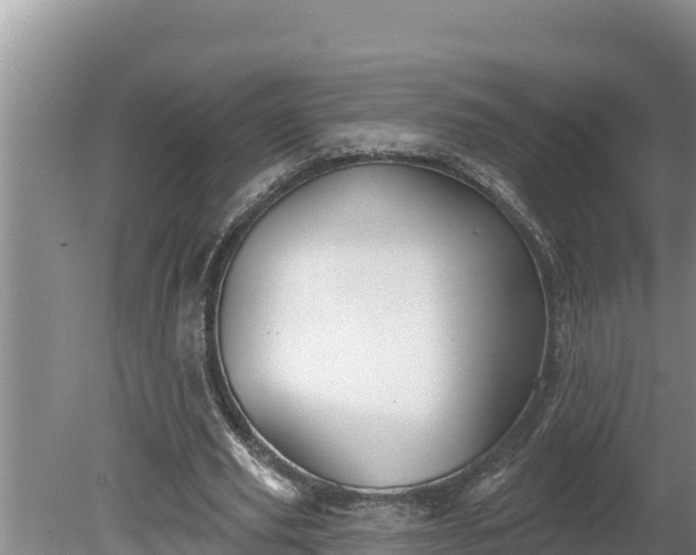 X0000080130629200612151739