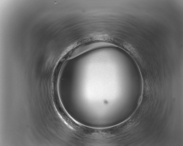 X0000080130630200612151739