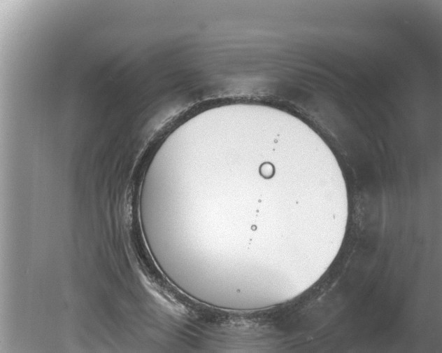 X0000080130632200612151739