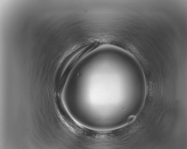 X0000080130634200612151739