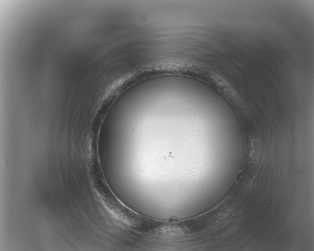 X0000080130636200612151739