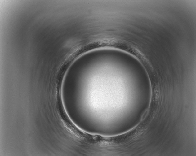 X0000080130637200612151739