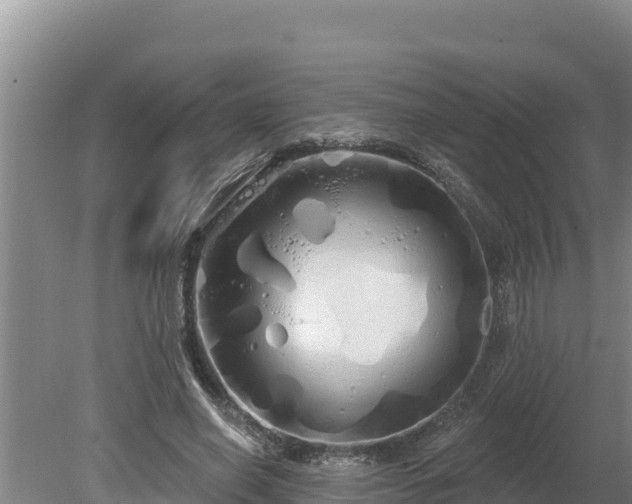 X0000080130638200612151739