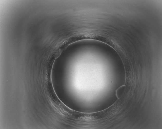 X0000080130639200612151739