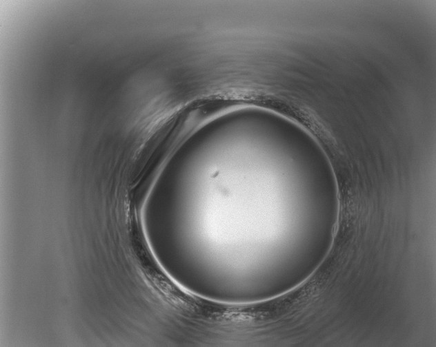 X0000080130640200612151739