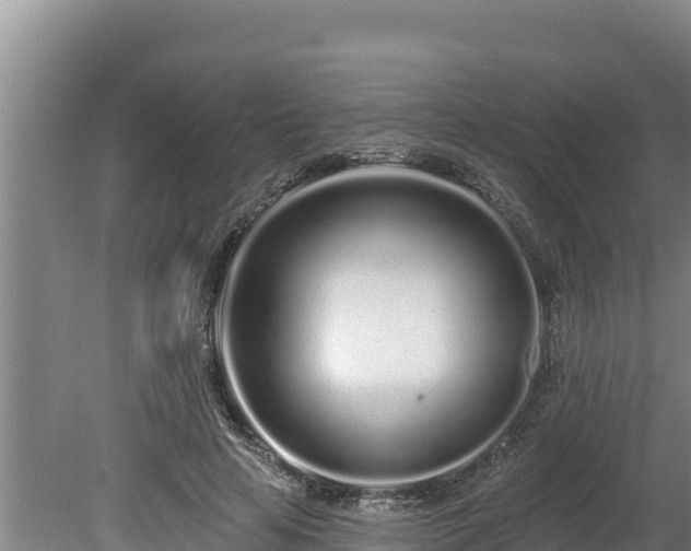 X0000080130641200612151739