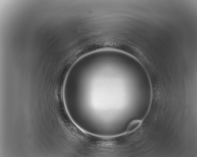 X0000080130643200612151739