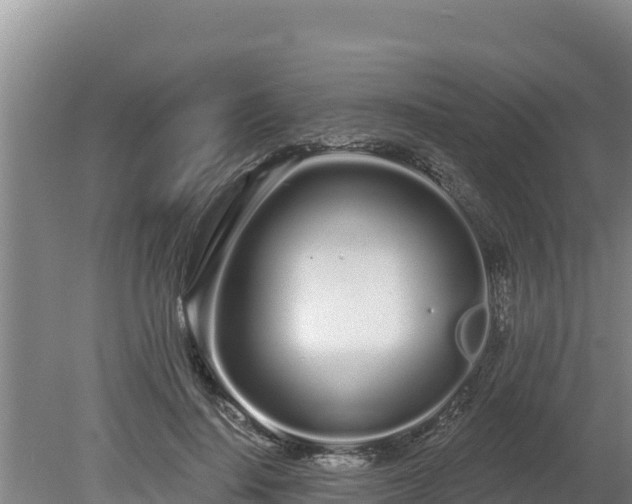 X0000080130644200612151739