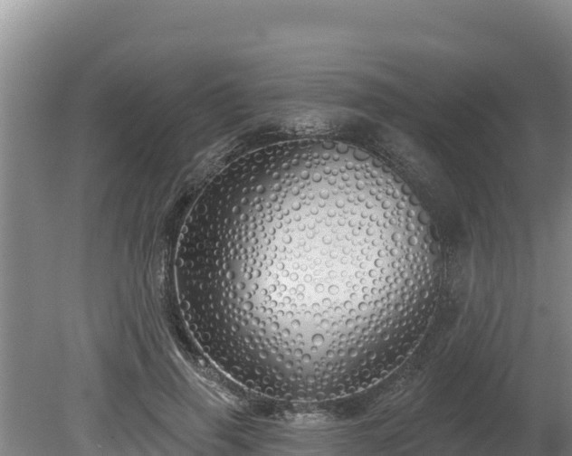 X0000080130645200612151739