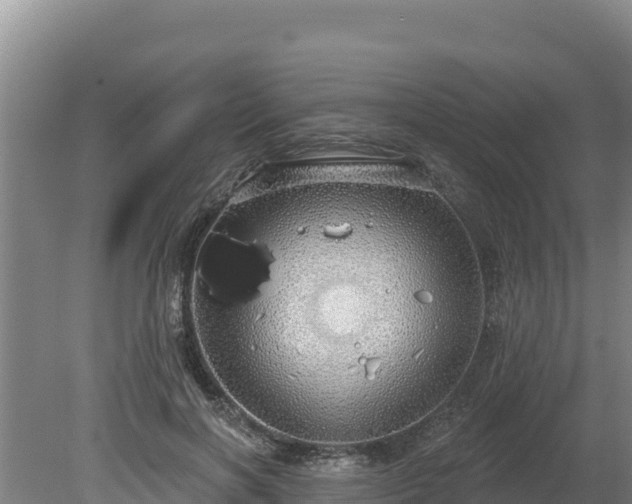 X0000080130646200612151739