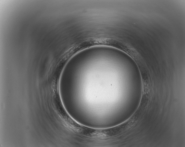 X0000080130648200612151739