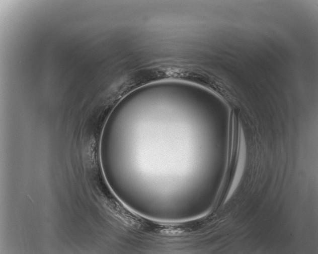 X0000080130650200612151739