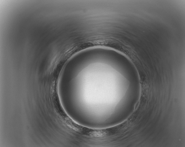 X0000080130652200612151740