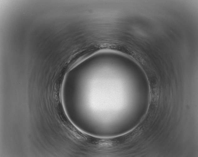 X0000080130653200612151740