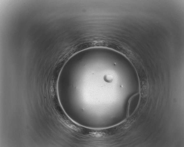 X0000080130654200612151740