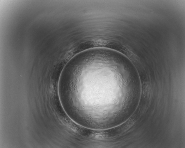 X0000080130655200612151740