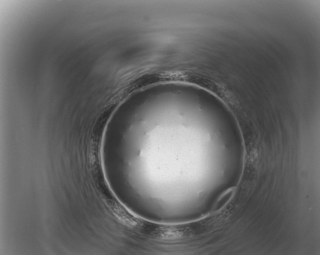 X0000080130658200612151740