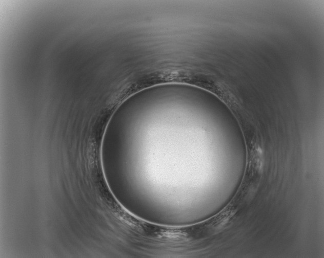 X0000080130659200612151740