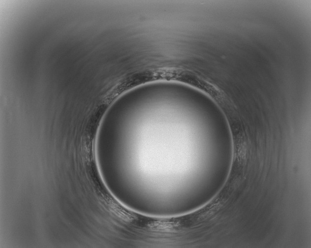 X0000080130661200612151740