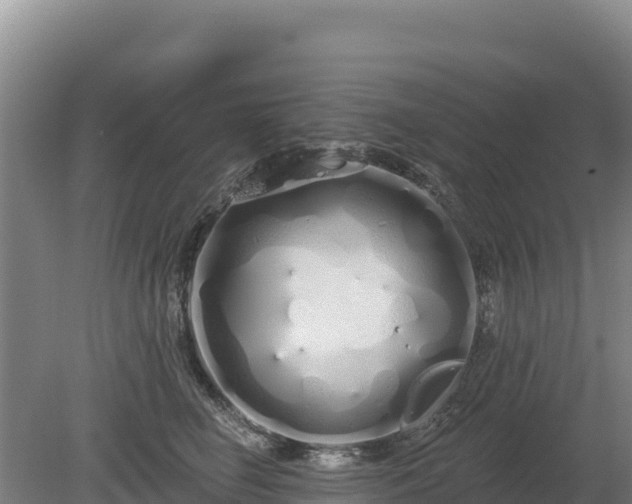 X0000080130662200612151740