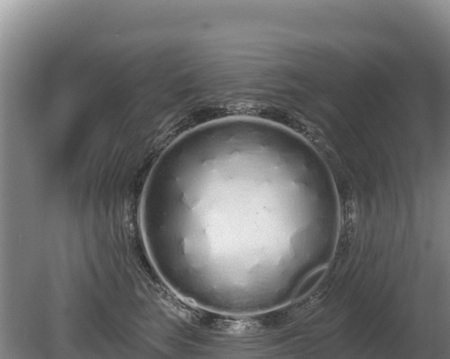 X0000080130663200612151740