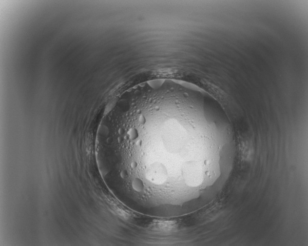 X0000080130665200612151740