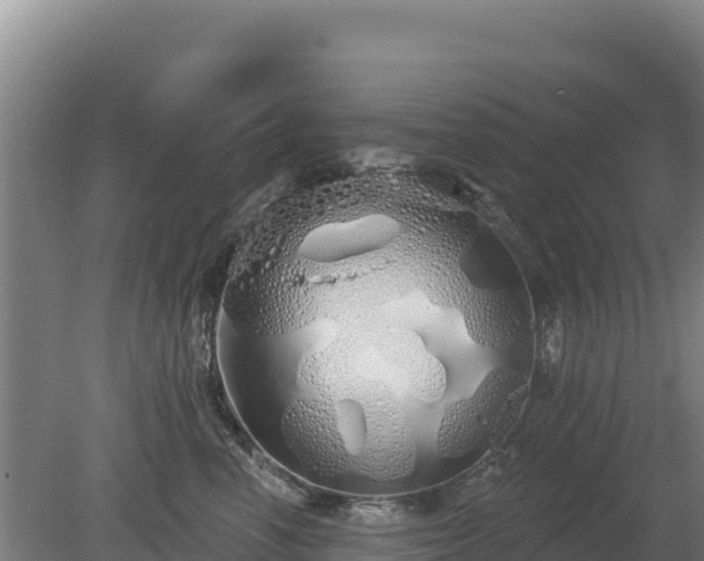 X0000080130666200612151740