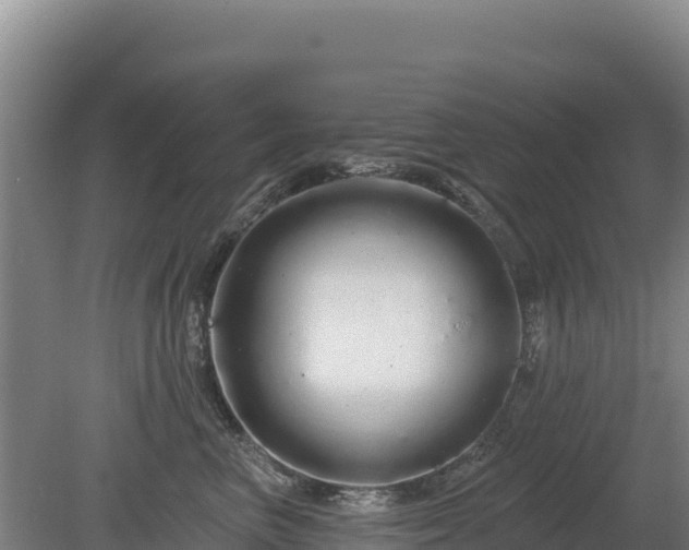 X0000080130667200612151740