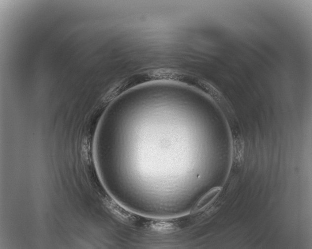 X0000080130669200612151740