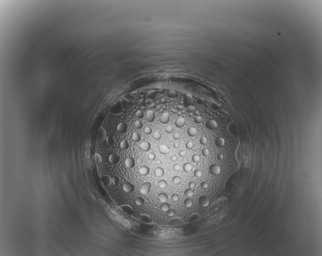 X0000080130670200612151740