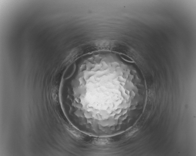 X0000080130671200612151740