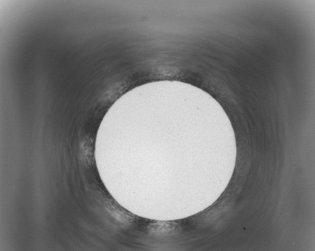 X0000080130672200612151740