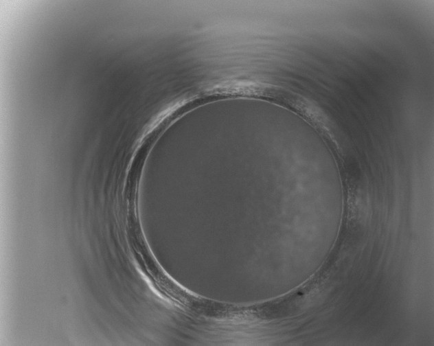 X0000080130674200612151739