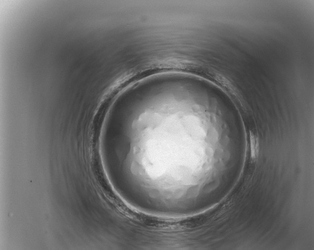 X0000080130675200612151739