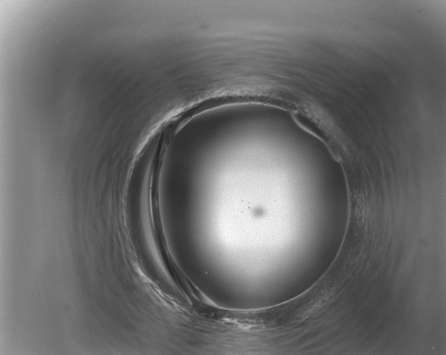 X0000080130676200612151739