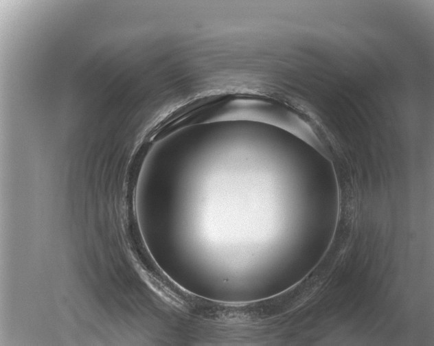 X0000080130677200612151739