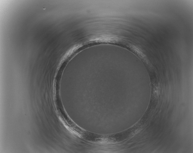 X0000080130678200612151739