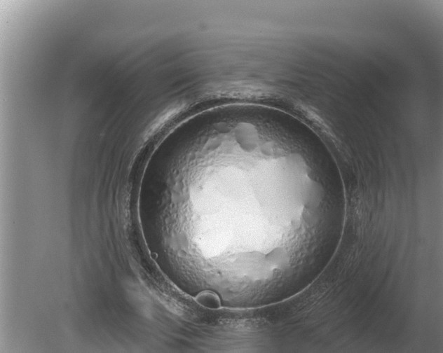 X0000080130679200612151739